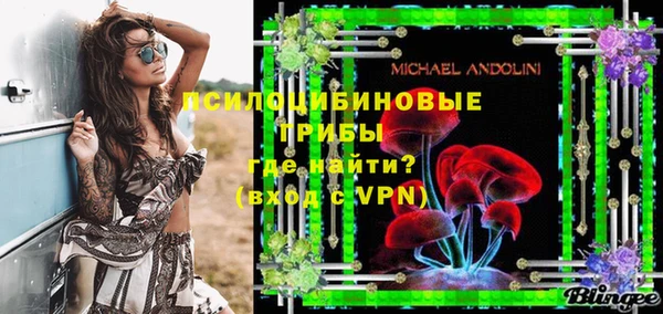 молекула духа Алзамай