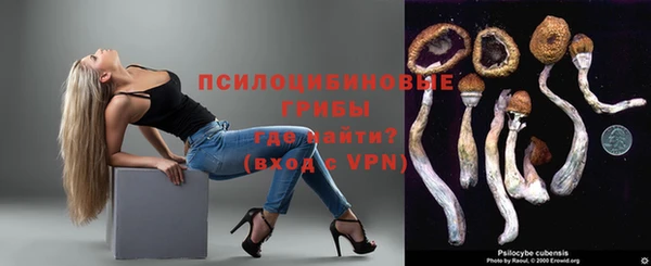 прущие грибы Алексеевка