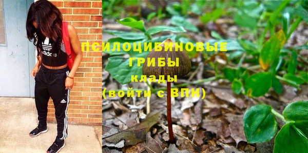 прущие грибы Алексеевка
