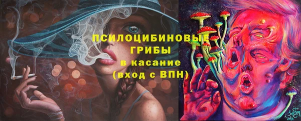 прущие грибы Алексеевка
