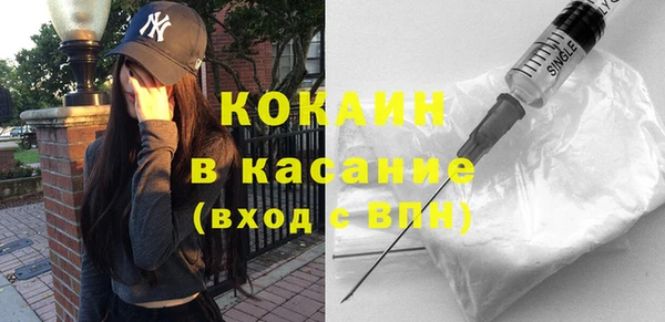 прущие грибы Алексеевка