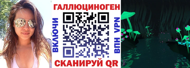 Купить где  Кириши  Галлюциногенные грибы Psilocybine cubensis 